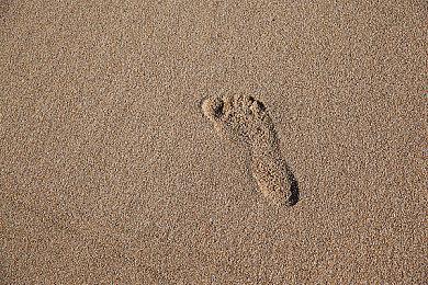 E3 2021：潜行动作游戏《连环清洁组》实机宣传片